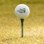 Golfová loptička biela Pro V1 – Obrázok 7