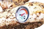 Poultry Button® teplomer – Obrázok 2